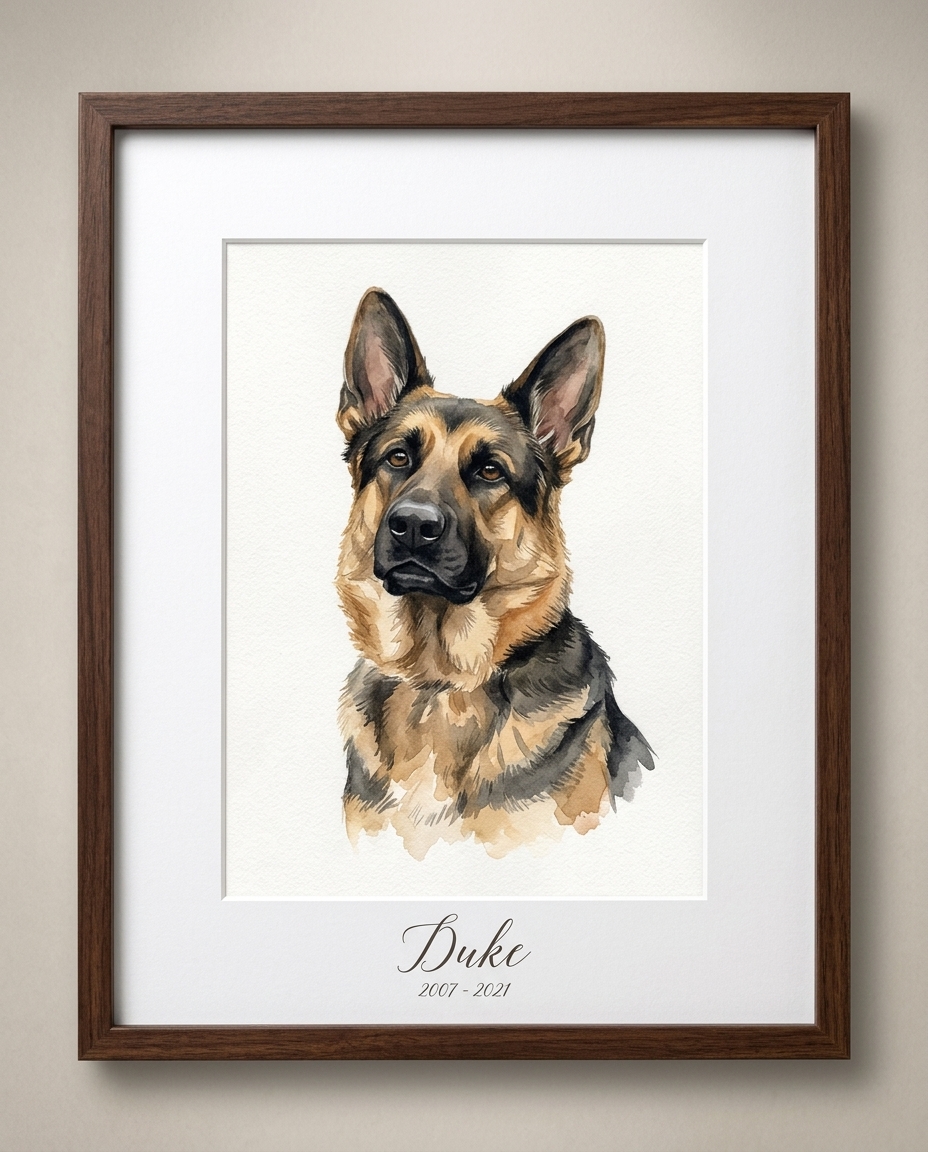 Framed watercolor portrait of a german shepherd
