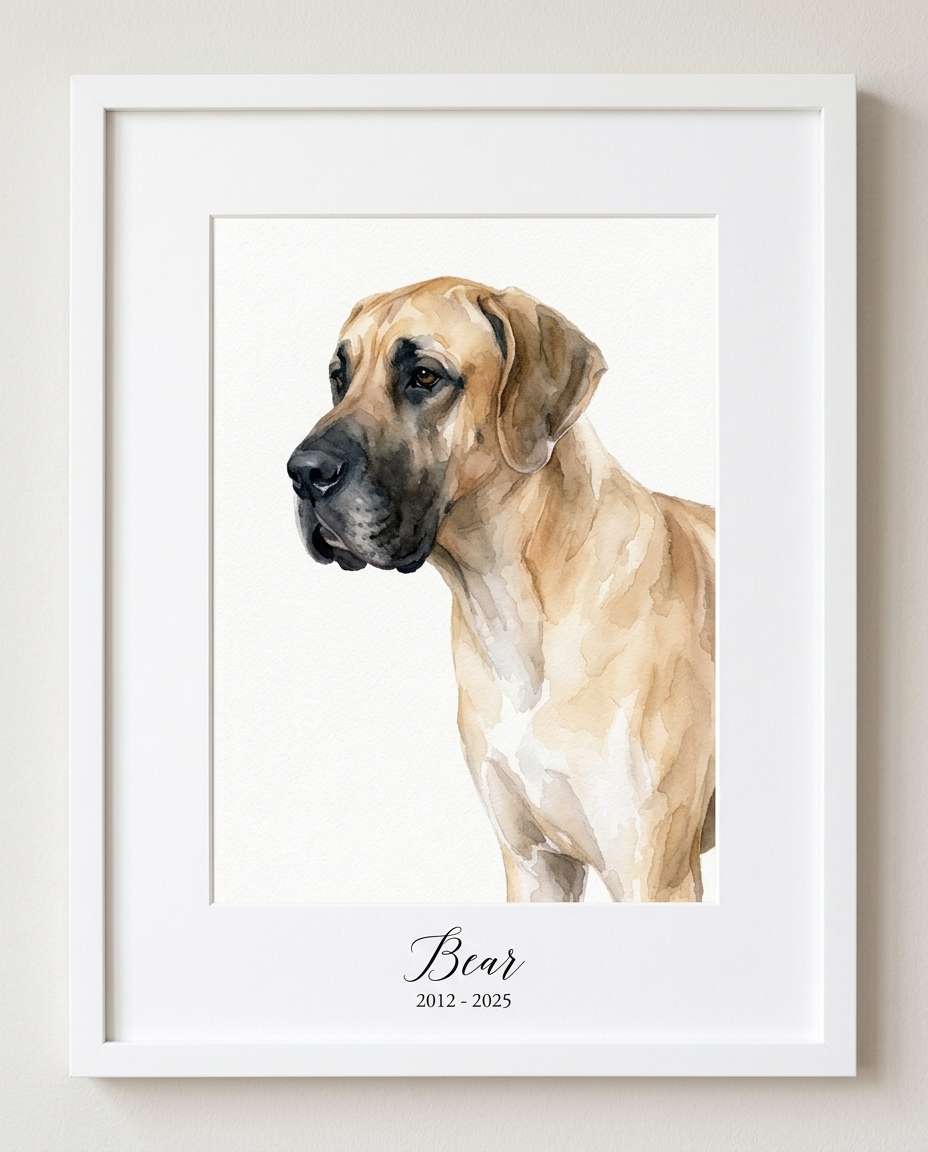Framed watercolor portrait of a great dane