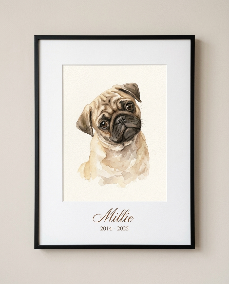 Framed watercolor portrait of a pug
